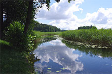 min 289 23.jpg min 289 23.jpg